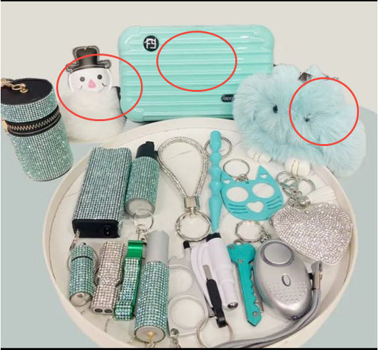 Self-defense Alarm Key Chain